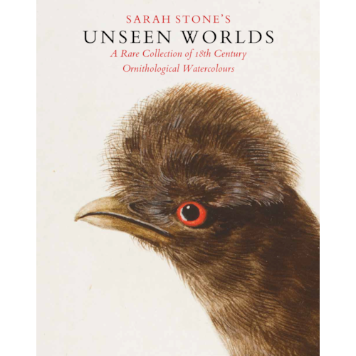 Sarah Stone's Unseen Worlds